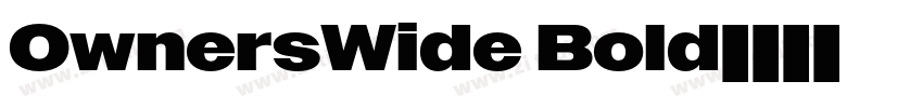 OwnersWide Bold字体转换
